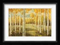 Aspens Fine Art Print