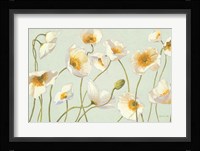 White and Bright Poppies Fine Art Print