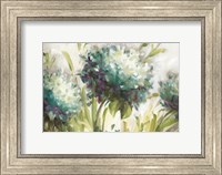 Hydrangea Field Fine Art Print