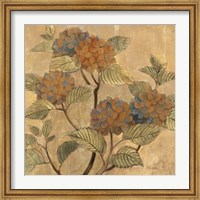 Golden Hydrangea Fine Art Print