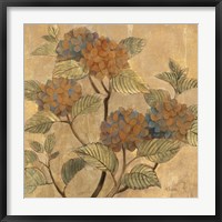 Golden Hydrangea Fine Art Print