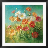 Painted Daisies Framed Print