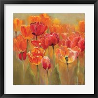 Tulips in the Midst III Crop Framed Print