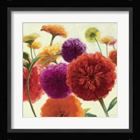 Pure Palette Zinnias Fine Art Print