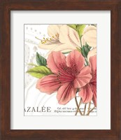 Azalee Jardin I Fine Art Print