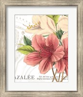Azalee Jardin I Fine Art Print