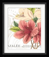 Azalee Jardin I Framed Print