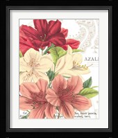 Azalee Jardin II Framed Print