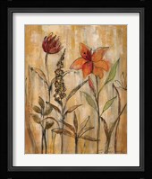 Aquarelle Garden II Framed Print