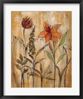 Aquarelle Garden II Framed Print