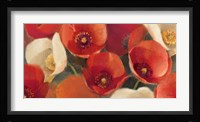 Poppies Bloom I Fine Art Print