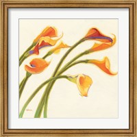 Callas in the Wind I Fine Art Print