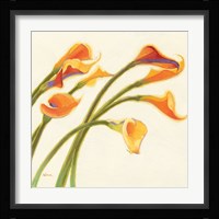 Callas in the Wind I Fine Art Print