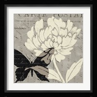 Natural Prints I Fine Art Print