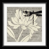 Natural Prints II Framed Print