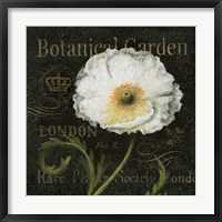 Botanical Garden II Fine Art Print