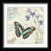 Papillon Tales I Framed Print