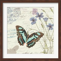Papillon Tales I Fine Art Print