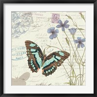 Papillon Tales I Framed Print