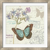 Papillon Tales II Fine Art Print