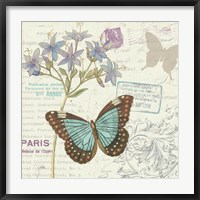 Papillon Tales II Fine Art Print