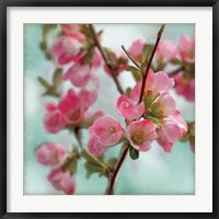 Quince Blossoms II Fine Art Print