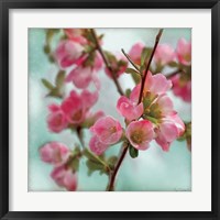 Quince Blossoms II Fine Art Print