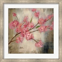 Cherry Blossom I Fine Art Print