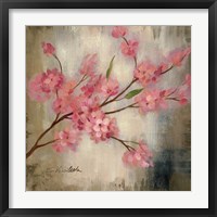 Cherry Blossom I Framed Print