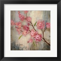 Cherry Blossom II Fine Art Print