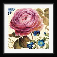 Victoria's Dream II Framed Print