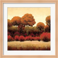 Autumn Forest II Fine Art Print