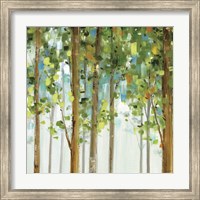 Forest Study II Fine Art Print