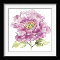 Water Flower I Fine Art Print