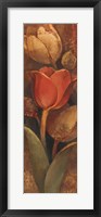 Tulip Shadow II Fine Art Print