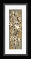 Almond Branch II Framed Print
