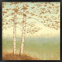 Golden Birch I with Blue Sky Fine Art Print