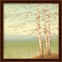 Golden Birch II with Blue Sky Fine Art Print