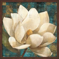 Magnolia Blossom Turquoise Fine Art Print