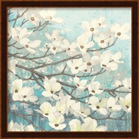 Dogwood Blossoms II Fine Art Print