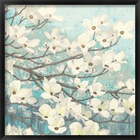 Dogwood Blossoms II Fine Art Print