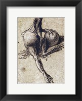 A Frog Sitting on Coins and Holding a Sphere Fine Art Print