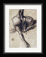 A Frog Sitting on Coins and Holding a Sphere Fine Art Print