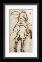 Study of a Rearing Horse Fine Art Print