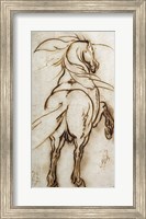 Study of a Rearing Horse Fine Art Print