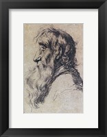 Head of an Old Man Fine Art Print