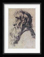 Head of an Old Man Fine Art Print