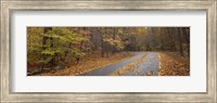 Road passing through autumn forest, Great Smoky Mountains National Park, Cherokee, North Carolina, USA Fine Art Print