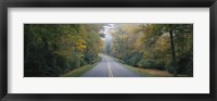 Trees along a road, Blue Ridge Parkway, North Carolina, USA Fine Art Print