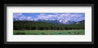Beaver Meadows Rocky Mountain National Park CO USA Fine Art Print